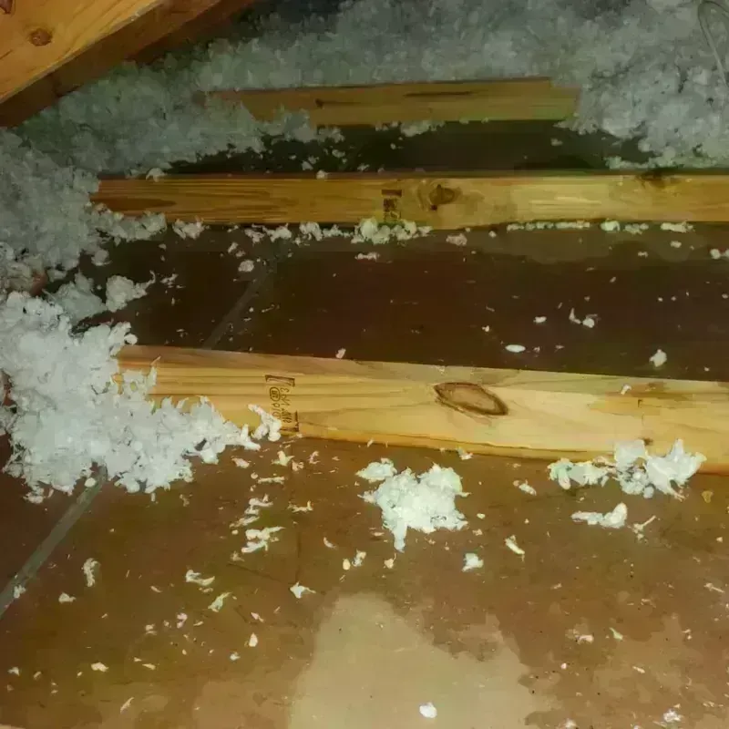 Attic Water Damage in Centerville, MN